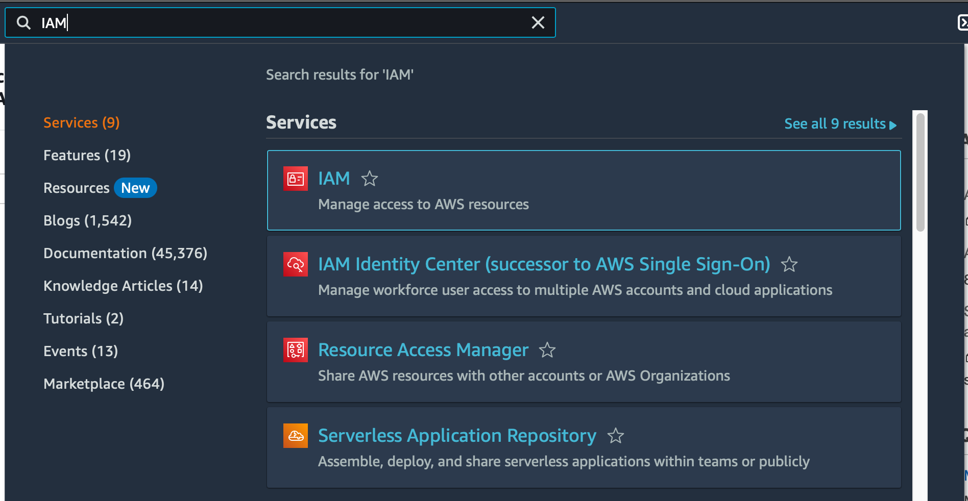 AWS IAM Search