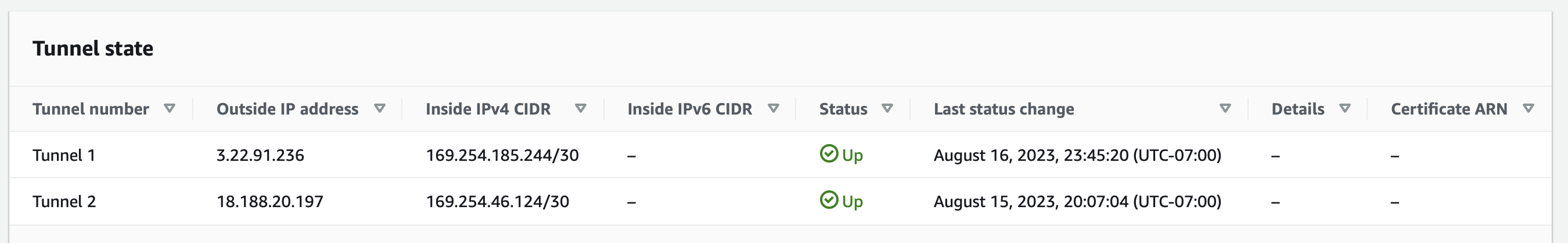 VPN tunnel status within AWS control panel